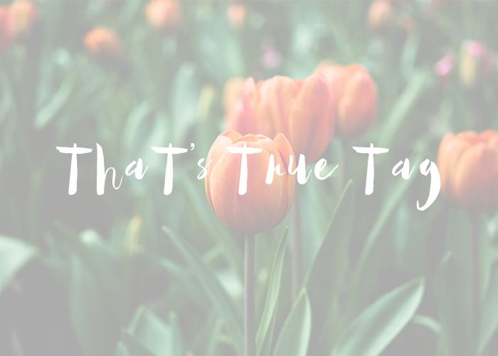 BLOG RELATED | That’s True Tag