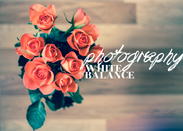 PHOTOGRAPHY | DSLR 101: White Balance